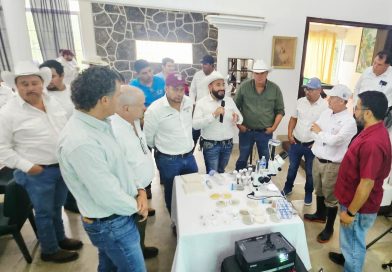 CAÑEROS DE LA HUASTECA RECIBEN APOYO SIN LÍMITES