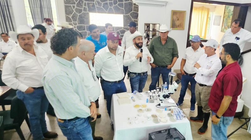 CAÑEROS DE LA HUASTECA RECIBEN APOYO SIN LÍMITES