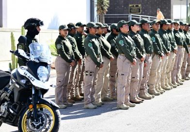 SAN LUIS POTOSÍ LOGRA REDUCCIÓN HISTÓRICA DEL 83.9% EN HOMICIDIOS AL INICIO DE 2026