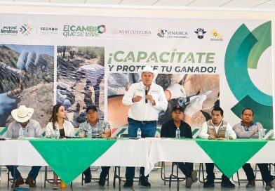 ESTADO AMPLÍA ACCIONES PREVENTIVAS CONTRA PLAGA DEL GUSANO BARRENADOR