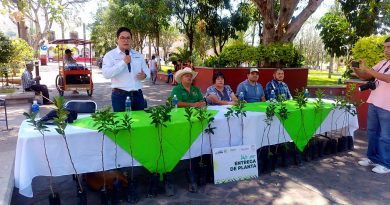ESTADO FORTALECE SU ENTORNO CON REFORESTACIÓN PRODUCTIVA