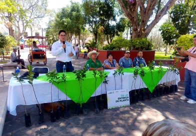 ESTADO FORTALECE SU ENTORNO CON REFORESTACIÓN PRODUCTIVA