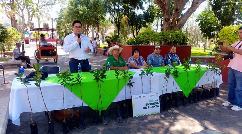 ESTADO FORTALECE SU ENTORNO CON REFORESTACIÓN PRODUCTIVA