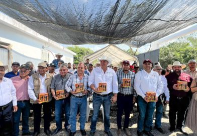 GOBIERNO ESTATAL IMPULSA CELEBRACIÓN DEL DÍA MUNDIAL DE LAS ABEJAS
