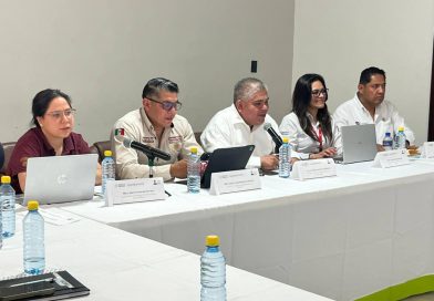 CIUDAD VALLES AVANZA EN PROGRAMA VIVIENDA DEL BIENESTAR CON COORDINACIÓN ENTRE LOS TRES NIVELES DE GOBIERNO