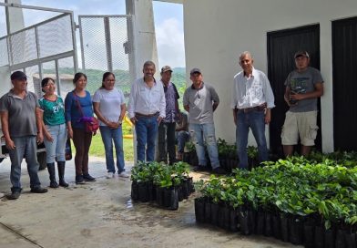 MÁS APOYO ESTATAL A CAFETALEROS EN LA HUASTECA