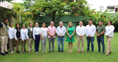 DENGUE REGISTRA REDUCCIÓN DEL 94 POR CIENTO EN LA HUASTECA