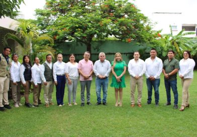 DENGUE REGISTRA REDUCCIÓN DEL 94 POR CIENTO EN LA HUASTECA