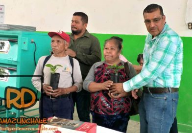 BUSCAN RESCATAR LA PRODUCTIVIDAD CAFETALERA EN EL MUNICIPIO
