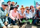 EL GOBERNADOR RICARDO GALLARDO CONSOLIDA REFORESTACIÓN Y PROTECCIÓN AMBIENTAL EN SLP