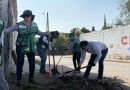 SEGAM REFORESTA CON 600 EJEMPLARES Y ENTREGA 200 ÁRBOLES FRUTALES