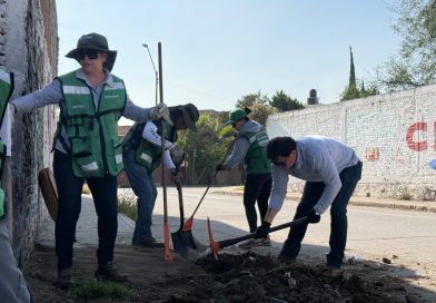SEGAM REFORESTA CON 600 EJEMPLARES Y ENTREGA 200 ÁRBOLES FRUTALES