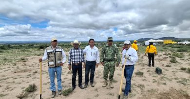 GOBIERNO DEL ESTADO REFORESTA CON ESPECIES FRUTALES Y MADERABLES