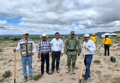 GOBIERNO DEL ESTADO REFORESTA CON ESPECIES FRUTALES Y MADERABLES
