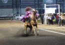 NACIONAL CHARRO LLEGA A SU OCTAVA JORNADA EN LA ARENA POTOSÍ